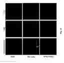 Fig. 74 - Multicolored pH-activatable fluorescence nanoplatform