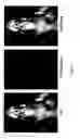 Fig. 77 - Multicolored pH-activatable fluorescence nanoplatform