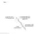 Fig. 12 - Crosslinked gels comprising polyalkyleneimines, and their uses as medical devices