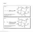 Fig. 17 - Crosslinked gels comprising polyalkyleneimines, and their uses as medical devices