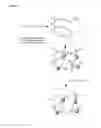 Fig. 20 - Crosslinked gels comprising polyalkyleneimines, and their uses as medical devices
