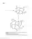Fig. 22 - Crosslinked gels comprising polyalkyleneimines, and their uses as medical devices