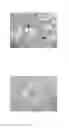 Fig. 01 - Biocompatible scaffolds with tissue fragments