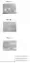 Fig. 09 - Biocompatible scaffolds with tissue fragments