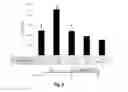 Fig. 08 - Fractionating Extracellular Matrix to Modulate Bioactivity and the Host Response