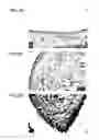 Fig. 09 - Bioengineered allogeneic blood vessel