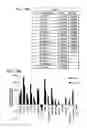 Fig. 23 - Bioengineered allogeneic blood vessel