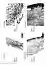 Fig. 30 - Bioengineered allogeneic blood vessel