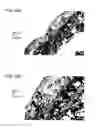 Fig. 31 - Bioengineered allogeneic blood vessel