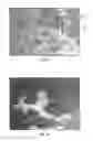 Fig. 04 - Implantable biomaterials having engineered functional surfaces