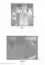 Fig. 05 - Implantable biomaterials having engineered functional surfaces