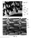 Fig. 07 - Pattern transfer device for mass transfer of micro-patterns onto medical devices