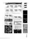 Fig. 05 - Method of Preparing Artificial Organs, and Related Compositions