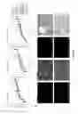 Fig. 08 - Method of Preparing Artificial Organs, and Related Compositions