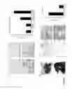 Fig. 11 - Method of Preparing Artificial Organs, and Related Compositions