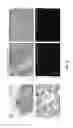 Fig. 18 - Method of Preparing Artificial Organs, and Related Compositions