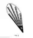 Fig. 10 - Apparatuses and methods for improving post-operative recovery from surgery