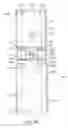 Fig. 43 - Apparatus and methods for self-administration of vaccines and other medicaments