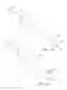 Fig. 20 - Integrated needle and cannula for plastic surgery