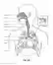 Fig. 05 - Patient interface