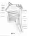 Fig. 06 - Patient interface