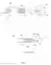 Fig. 12 - Dual balloon dual syringe delivery device and method of use