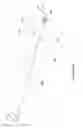Fig. 25 - INFLATABLE MEDICAL DEVICES