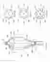 Fig. 29 - INFLATABLE MEDICAL DEVICES