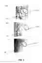 Fig. 08 - Integumentary System Therapy