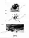 Fig. 09 - Integumentary System Therapy