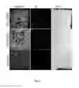 Fig. 06 - PHOTODYNAMIC THERAPY USING IN SITU NONLINEAR PHOTON UPCONVERSION OF NIR LIGHT BY BIOLOGICAL MEDIUM