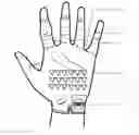 Fig. 01 - Everlasting Glove