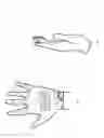 Fig. 02 - Everlasting Glove