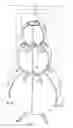 Fig. 02 - MOLDS AND MOLD SECTION APPARATUSES AND METHODS OF MAKING A SCULPTURE WITH NATURAL MATERIALS