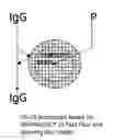 Fig. 01 - Chromatography medium