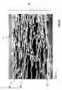 Fig. 08 - Coalescing element of a water separator device, and water separator device