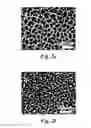 Fig. 04 - TiO2 nanofiltration membranes prepared by molecular layer deposition for water purification