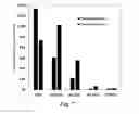 Fig. 11 - TiO2 nanofiltration membranes prepared by molecular layer deposition for water purification
