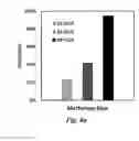 Fig. 12 - TiO2 nanofiltration membranes prepared by molecular layer deposition for water purification