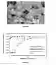 Fig. 07 - Functionalization of a porous membrane with an adsorbed polyacid
