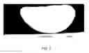 Fig. 03 - Hydrophilic-oleophobic copolymer composition and uses thereof