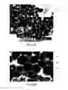 Fig. 03 - METHOD TO GENERATE AND DISPERSE NANOSTRUCTURES IN A COMPOSITE MATERIAL