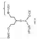 Fig. 04 - Probe inversion process for in situ synthesized probe arrays