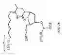 Fig. 05 - Probe inversion process for in situ synthesized probe arrays