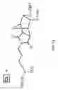 Fig. 07 - Probe inversion process for in situ synthesized probe arrays