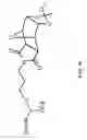 Fig. 09 - Probe inversion process for in situ synthesized probe arrays