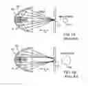 Fig. 02 - IRRADIATION SYSTEMS USING CURVED SURFACES