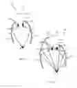 Fig. 04 - IRRADIATION SYSTEMS USING CURVED SURFACES