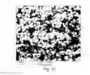 Fig. 10 - COPPER-CONTAINING KFI-TYPE ZEOLITE AND USE IN SCR CATALYSIS