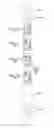 Fig. 01 - Micro-tube particles for microfluidic assays and methods of manufacture